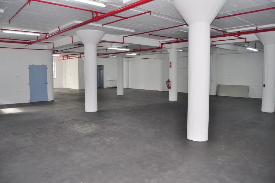 To Let commercial Property for Rent in Paarden Eiland Western Cape
